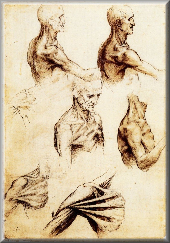рисунок Леонардо да Винчи, датируемый 1510 годом, на котором изображен человек с явно выраженной воронкообразной деформацией грудной клетки